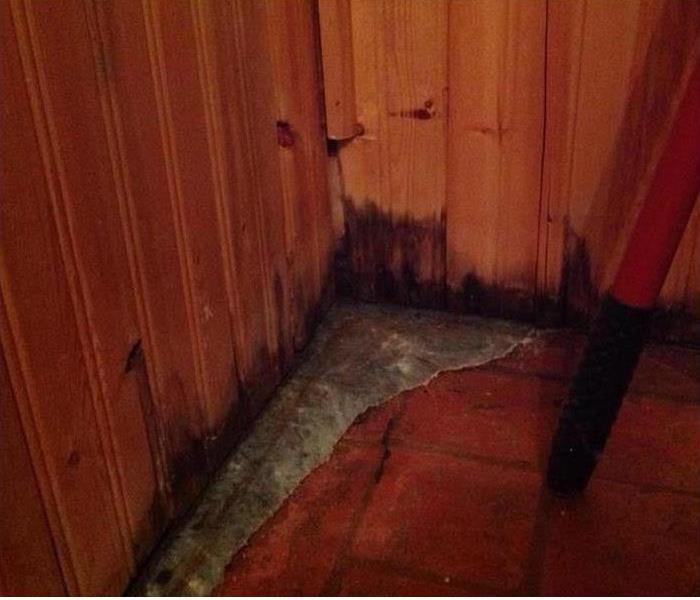 Mold in Home Before